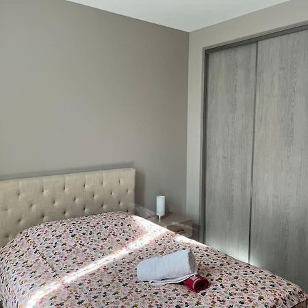 Superbe Appartement Plein Centre Millau Bagian luar foto