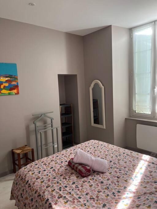 Superbe Appartement Plein Centre Millau Bagian luar foto