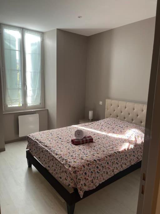 Superbe Appartement Plein Centre Millau Bagian luar foto
