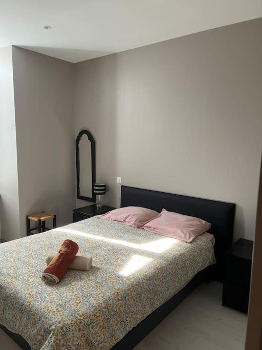 Superbe Appartement Plein Centre Millau Bagian luar foto