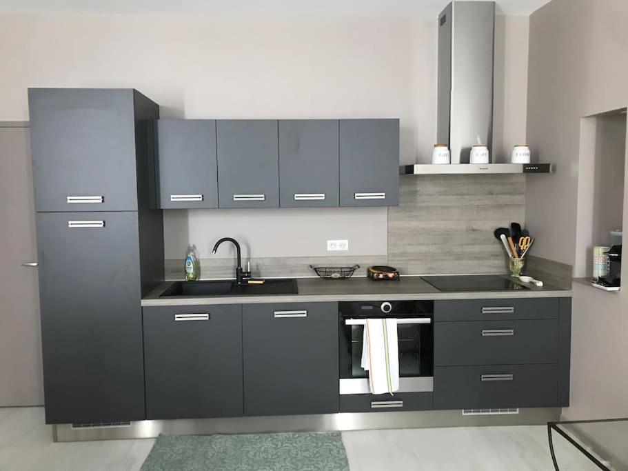 Superbe Appartement Plein Centre Millau Bagian luar foto