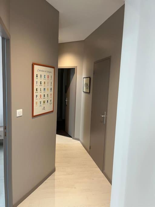 Superbe Appartement Plein Centre Millau Bagian luar foto