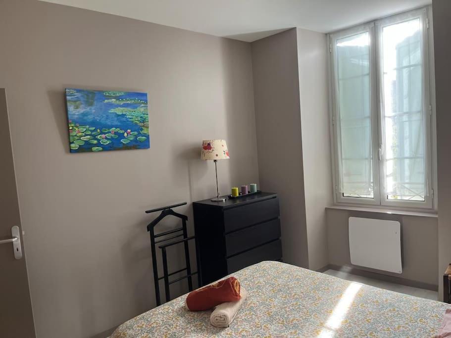 Superbe Appartement Plein Centre Millau Bagian luar foto