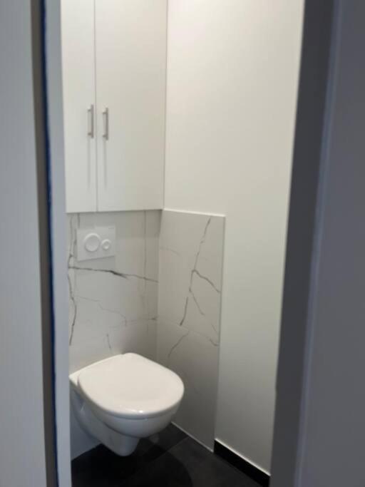 Superbe Appartement Plein Centre Millau Bagian luar foto