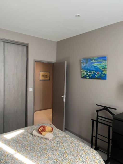 Superbe Appartement Plein Centre Millau Bagian luar foto